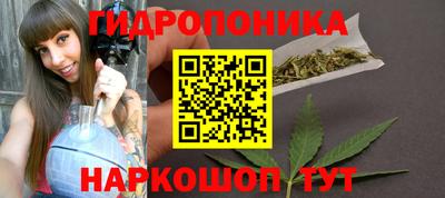 дмт Аргун
