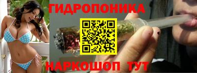дмт Аргун